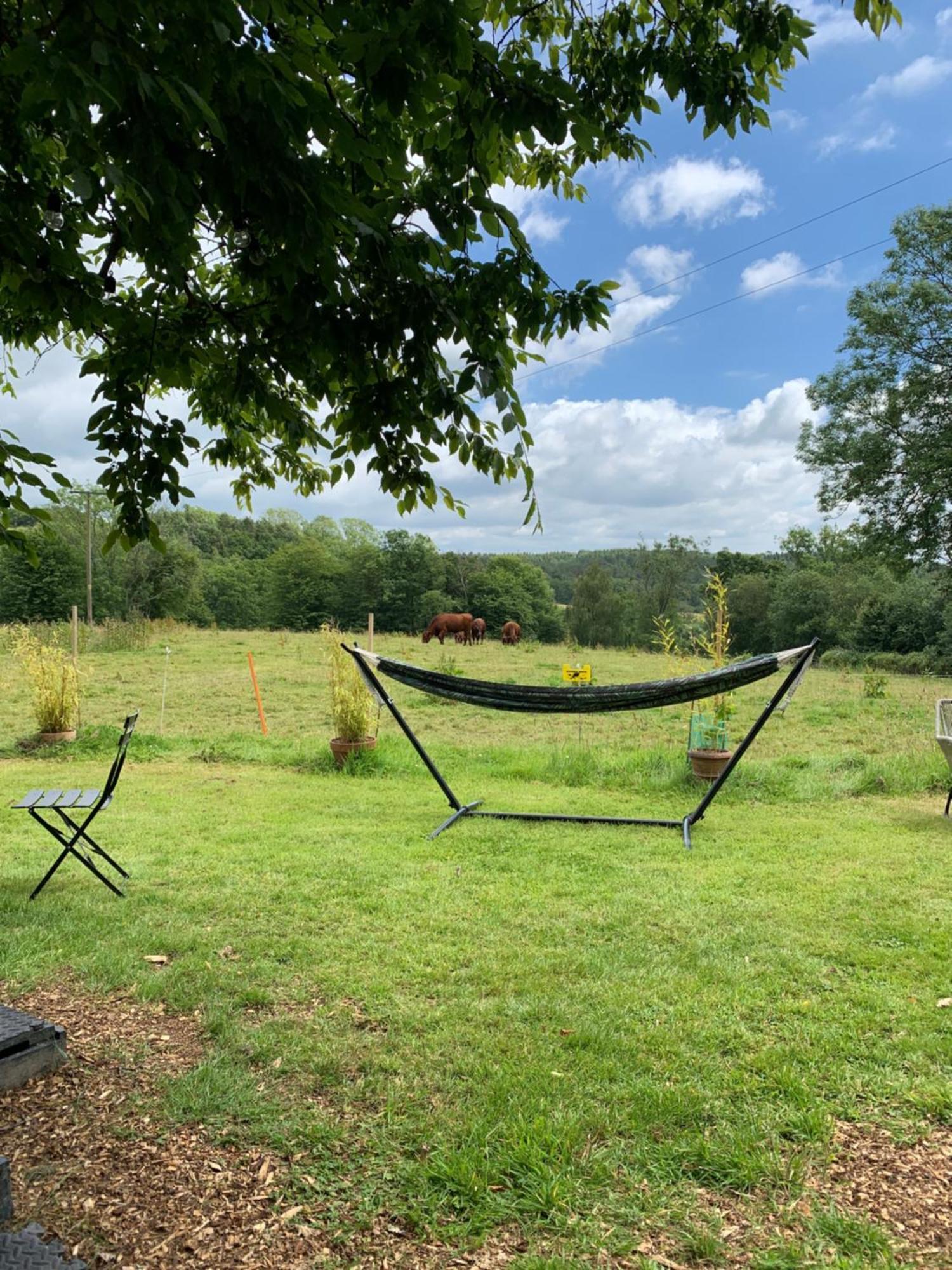 אוקפילד American School Bus Retreat With Hot Tub In Sussex Meadow מראה חיצוני תמונה