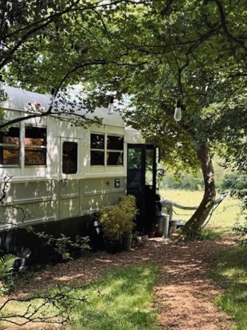 אוקפילד American School Bus Retreat With Hot Tub In Sussex Meadow מראה חיצוני תמונה
